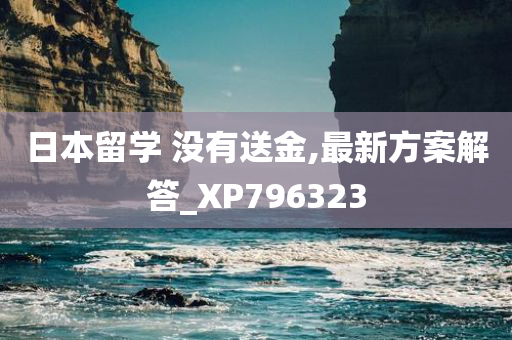 日本留学 没有送金,最新方案解答_XP796323