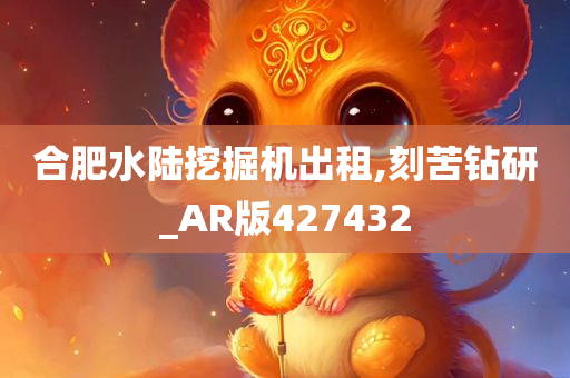 合肥水陆挖掘机出租,刻苦钻研_AR版427432