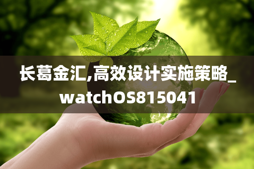 长葛金汇,高效设计实施策略_watchOS815041