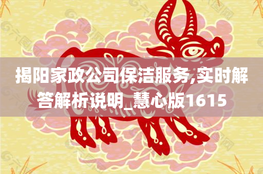 揭阳家政公司保洁服务,实时解答解析说明_慧心版1615