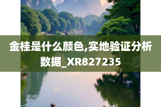 金桂是什么颜色,实地验证分析数据_XR827235