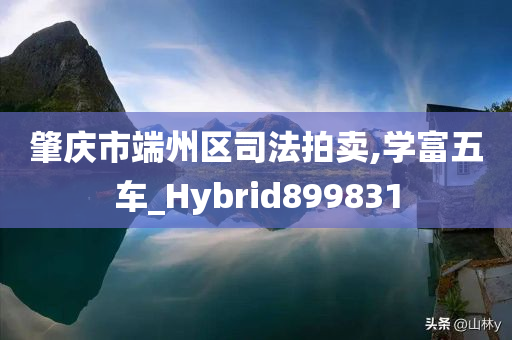 肇庆市端州区司法拍卖,学富五车_Hybrid899831