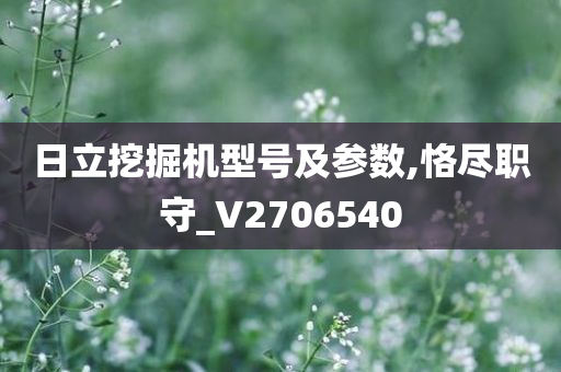 日立挖掘机型号及参数,恪尽职守_V2706540