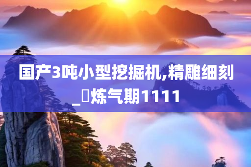 国产3吨小型挖掘机,精雕细刻_‌炼气期1111