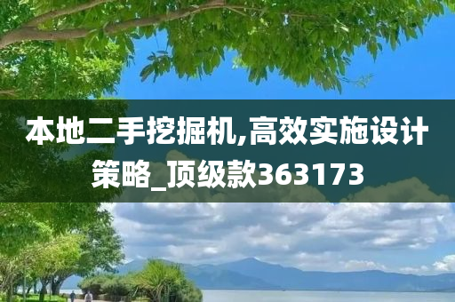 本地二手挖掘机,高效实施设计策略_顶级款363173