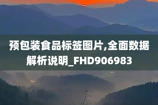 预包装食品标签图片,全面数据解析说明_FHD906983