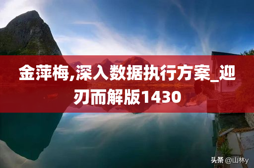 金萍梅,深入数据执行方案_迎刃而解版1430