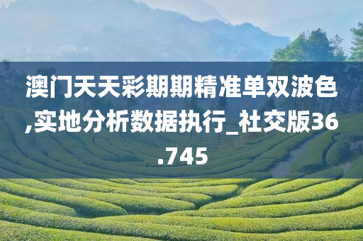 澳门天天彩期期精准单双波色,实地分析数据执行_社交版36.745