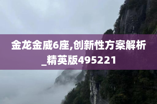 金龙金威6座,创新性方案解析_精英版495221