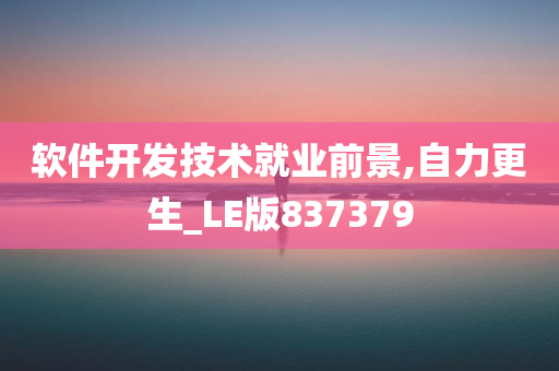 软件开发技术就业前景,自力更生_LE版837379