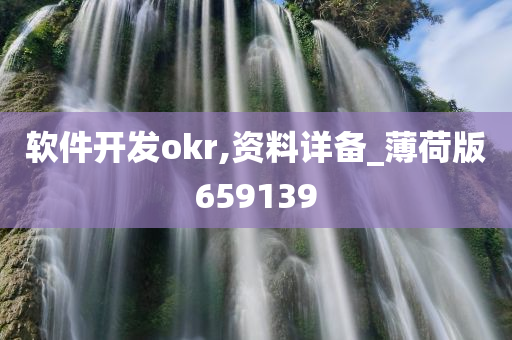 软件开发okr,资料详备_薄荷版659139