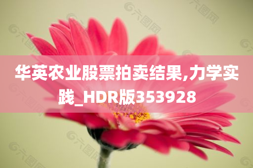 华英农业股票拍卖结果,力学实践_HDR版353928