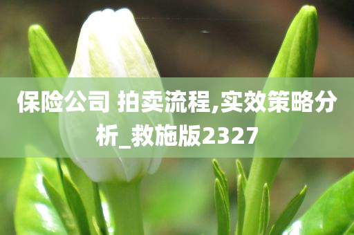 保险公司 拍卖流程,实效策略分析_救施版2327