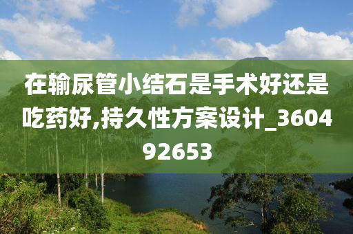 在输尿管小结石是手术好还是吃药好,持久性方案设计_360492653