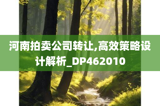 河南拍卖公司转让,高效策略设计解析_DP462010