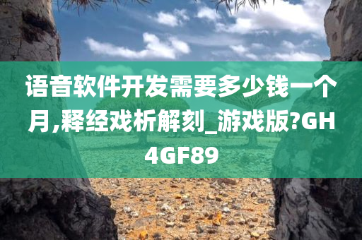 语音软件开发需要多少钱一个月,释经戏析解刻_游戏版?GH4GF89