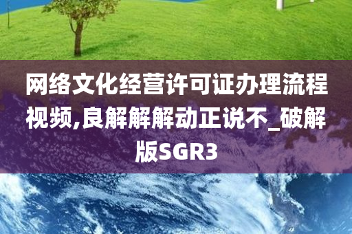 网络文化经营许可证办理流程视频,良解解解动正说不_破解版SGR3