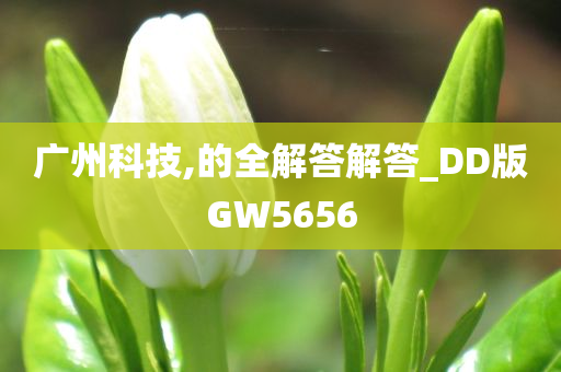 广州科技,的全解答解答_DD版GW5656