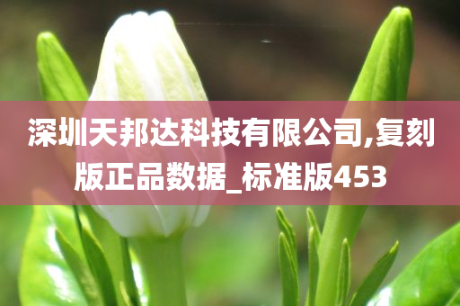 深圳天邦达科技有限公司,复刻版正品数据_标准版453