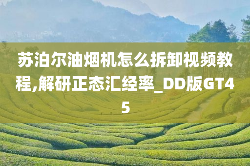 苏泊尔油烟机怎么拆卸视频教程,解研正态汇经率_DD版GT45