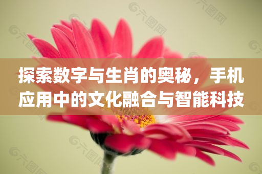 探索数字与生肖的奥秘，手机应用中的文化融合与智能科技