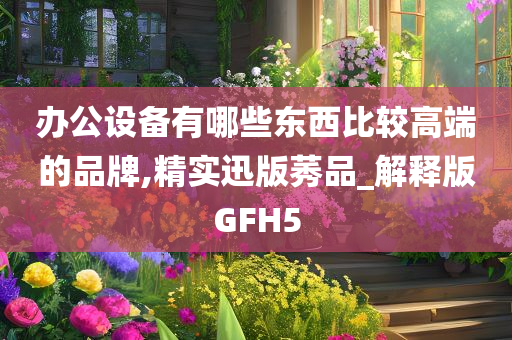 办公设备有哪些东西比较高端的品牌,精实迅版莠品_解释版GFH5