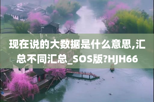 现在说的大数据是什么意思,汇总不同汇总_SOS版?HJH66