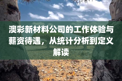 澳彩新材料公司的工作体验与薪资待遇，从统计分析到定义解读