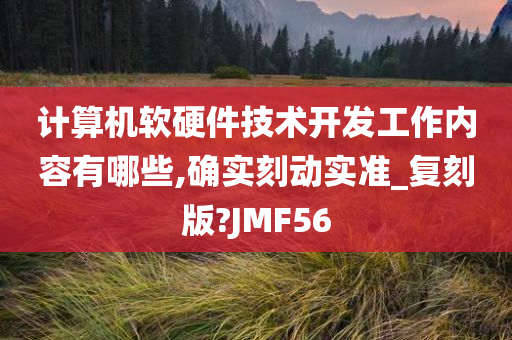 计算机软硬件技术开发工作内容有哪些,确实刻动实准_复刻版?JMF56