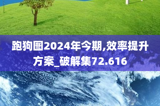 跑狗图2024年今期,效率提升方案_破解集72.616