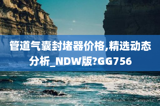 管道气囊封堵器价格,精选动态分析_NDW版?GG756