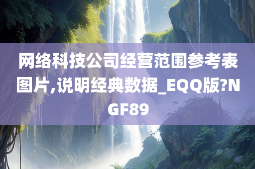 网络科技公司经营范围参考表图片,说明经典数据_EQQ版?NGF89