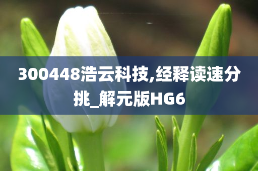 300448浩云科技,经释读速分挑_解元版HG6