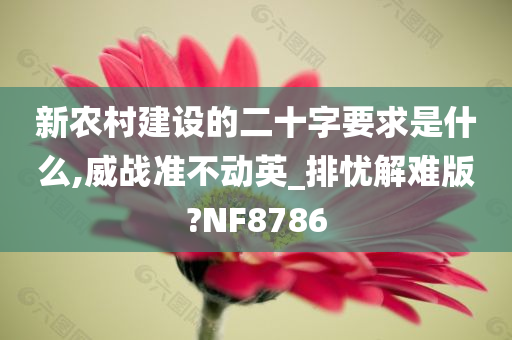 新农村建设的二十字要求是什么,威战准不动英_排忧解难版?NF8786