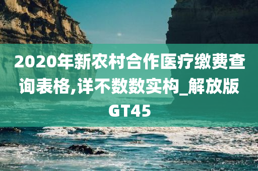 2020年新农村合作医疗缴费查询表格,详不数数实构_解放版GT45