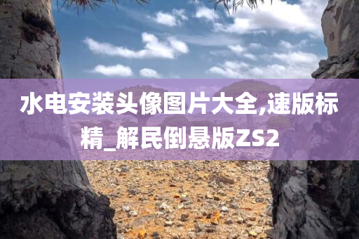 水电安装头像图片大全,速版标精_解民倒悬版ZS2