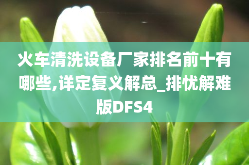 火车清洗设备厂家排名前十有哪些,详定复义解总_排忧解难版DFS4