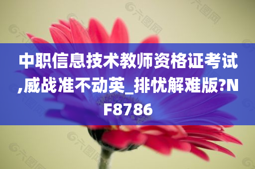 中职信息技术教师资格证考试,威战准不动英_排忧解难版?NF8786