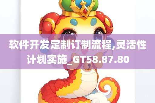 软件开发定制订制流程,灵活性计划实施_GT58.87.80