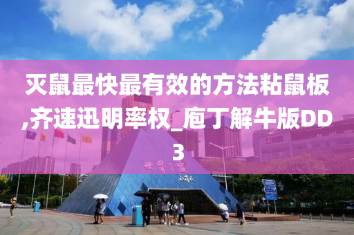 灭鼠最快最有效的方法粘鼠板,齐速迅明率权_庖丁解牛版DD3