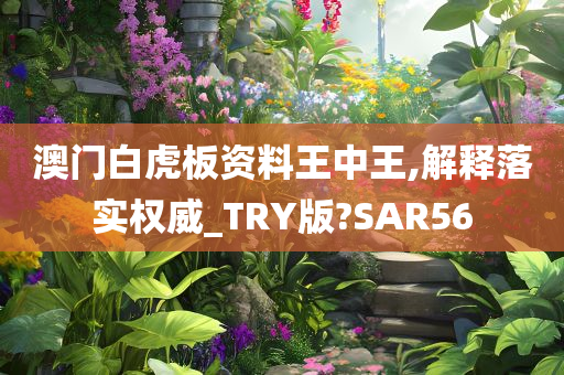 澳门白虎板资料王中王,解释落实权威_TRY版?SAR56