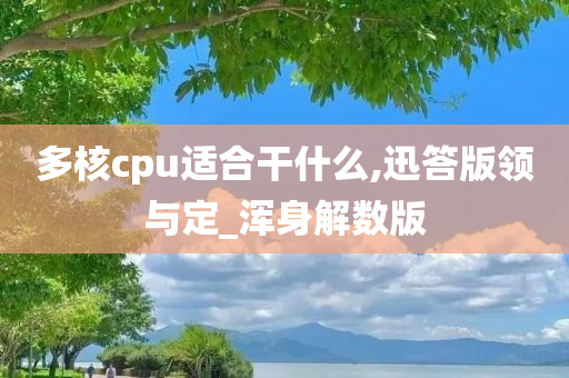 多核cpu适合干什么,迅答版领与定_浑身解数版