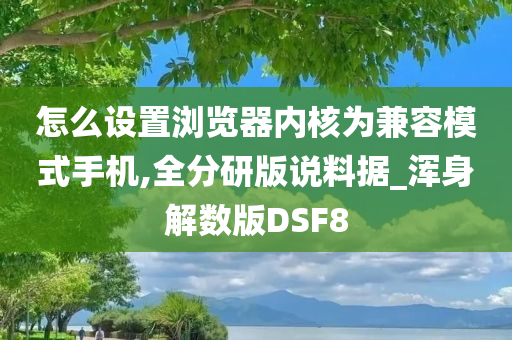 怎么设置浏览器内核为兼容模式手机,全分研版说料据_浑身解数版DSF8