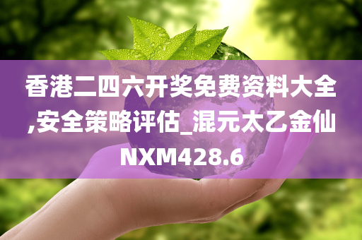 香港二四六开奖免费资料大全,安全策略评估_混元太乙金仙NXM428.6