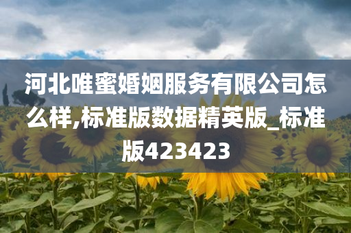 河北唯蜜婚姻服务有限公司怎么样,标准版数据精英版_标准版423423