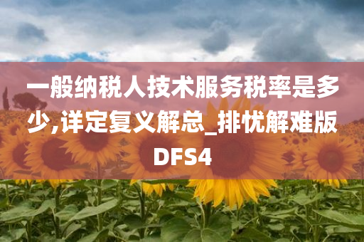 一般纳税人技术服务税率是多少,详定复义解总_排忧解难版DFS4