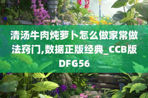 清汤牛肉炖萝卜怎么做家常做法窍门,数据正版经典_CCB版DFG56