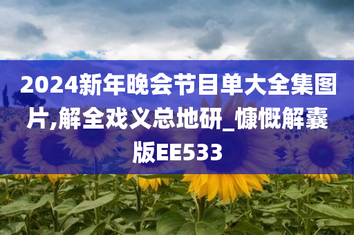 2024新年晚会节目单大全集图片,解全戏义总地研_慷慨解囊版EE533