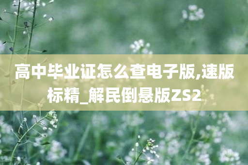 高中毕业证怎么查电子版,速版标精_解民倒悬版ZS2