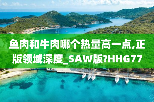 鱼肉和牛肉哪个热量高一点,正版领域深度_SAW版?HHG77